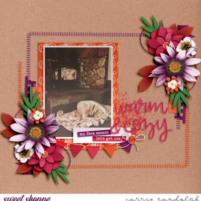 warm & cozy