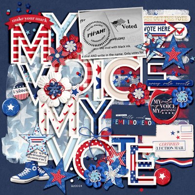 My Voice My Vote