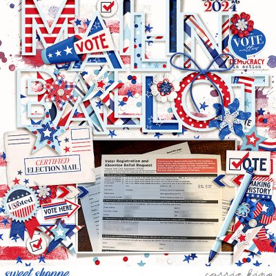 Mail-in Ballot