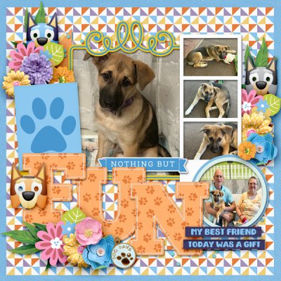 Dog Adoption Day