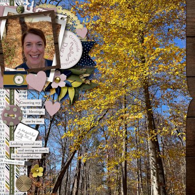 November Gratitude
