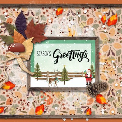 A Christmas Card???