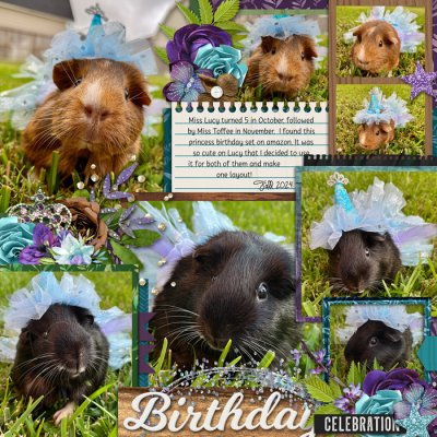 Piggies turn 5