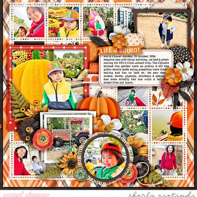 life is gourd
