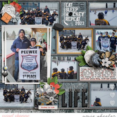 Hockey Life