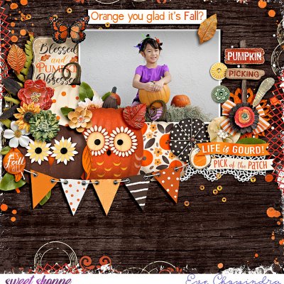 orange you glad it's fall?