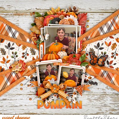 Life is Gourd!