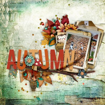 Autumn leaves