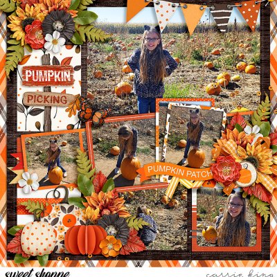 Pumpkin Picking