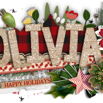Holiday Siggie