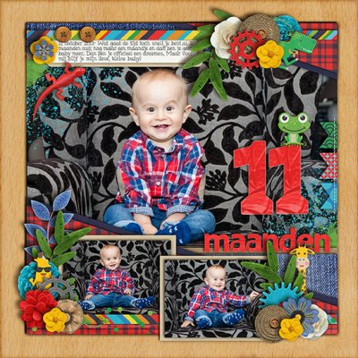 11 maanden (months)