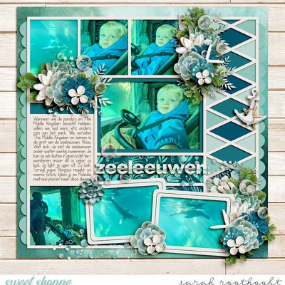 Zeeleeuwen