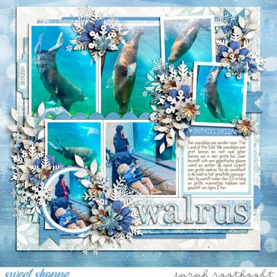 Walrus