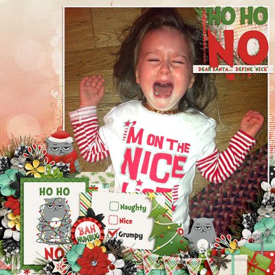 Nice List