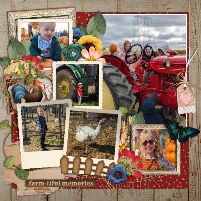 Visit to the farm