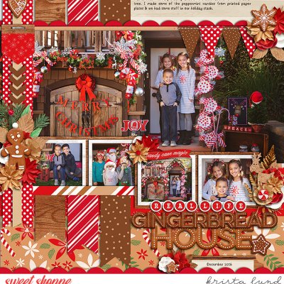 SSD-KL-2016_12-lifesizedgingerbreadhouse