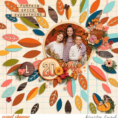 SSD-KL-2020_11-CozyFall