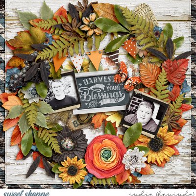 Harvest Your Blessings