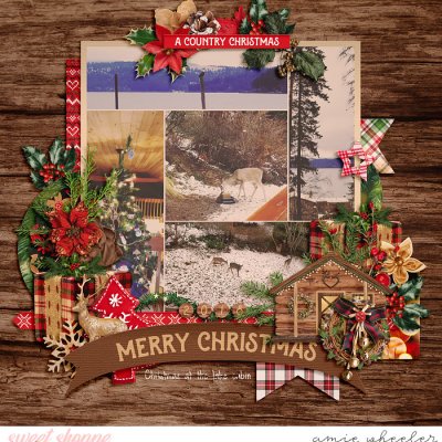 Merry Christmas at the Lake