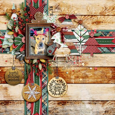 Merry Christmas from Gaige
