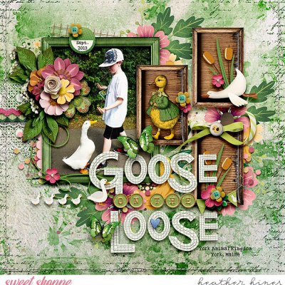 Goose On The Lose