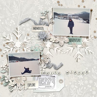 white winter