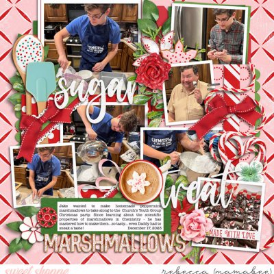 Homemade Christmas marshmallows