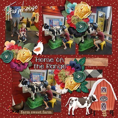 boys-tampa-museum-farm