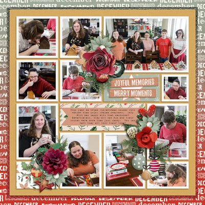 Robin_All-Year-Round-Dec-SSD
