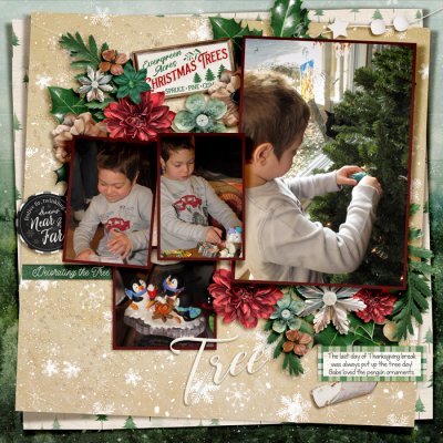 Gabe's ornaments on the tree