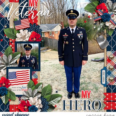 My Veteran, My Hero
