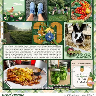 2024 PL 30 week 01