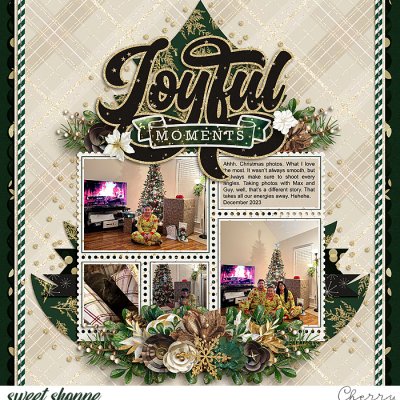 Joyful Moments