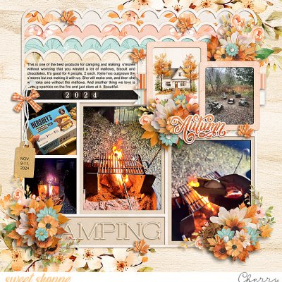 Camping {side b}
