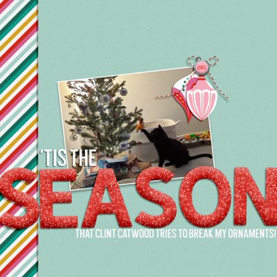 25 Days of December_Dec2024_Day1_Tis The Season