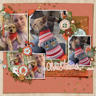 Christmas Sweater