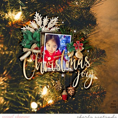 Christmas joy