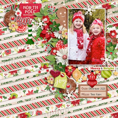 North Pole