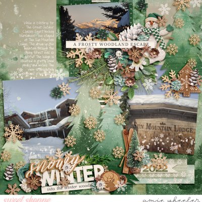 Snowy Winter