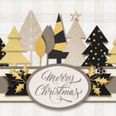 Dec 11 sparkle and shine