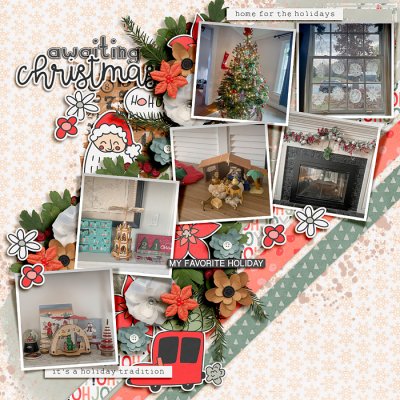 Awaiting Christmas