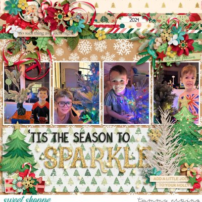 tis the season to sparkle