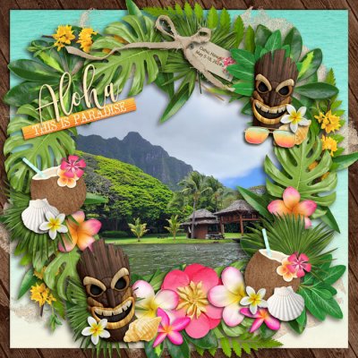 Aloha from Hawaii