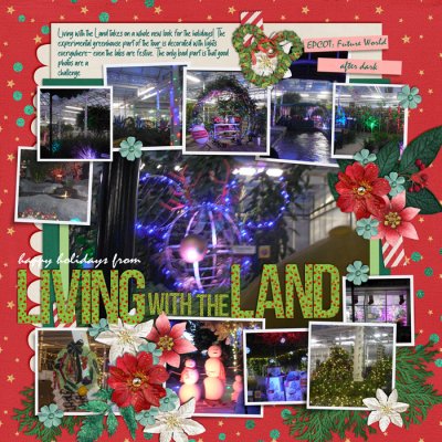 Living with the Land- Christmas-like
