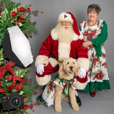 2024 Holiday Faves p8