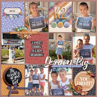 SSD_2ndGrade_2015_06_LDOS