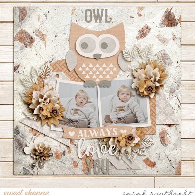 Owl Always Love You