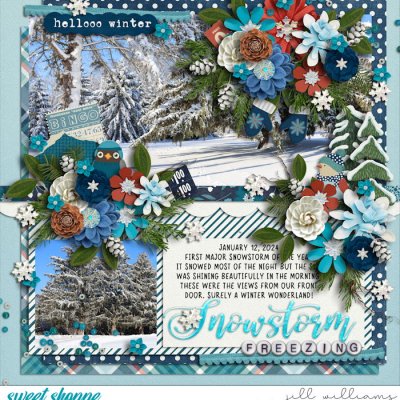 Winter Beauty