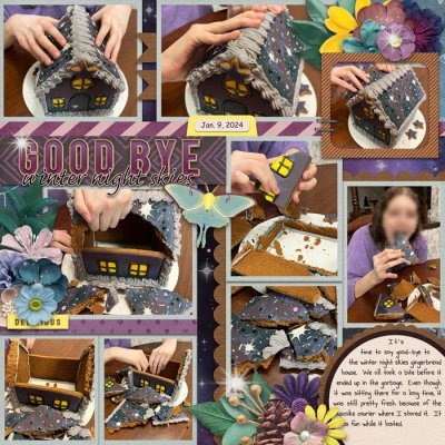 Good-bye Skies
