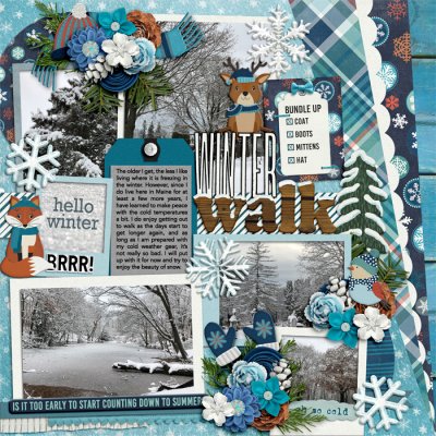 Winter Walk
